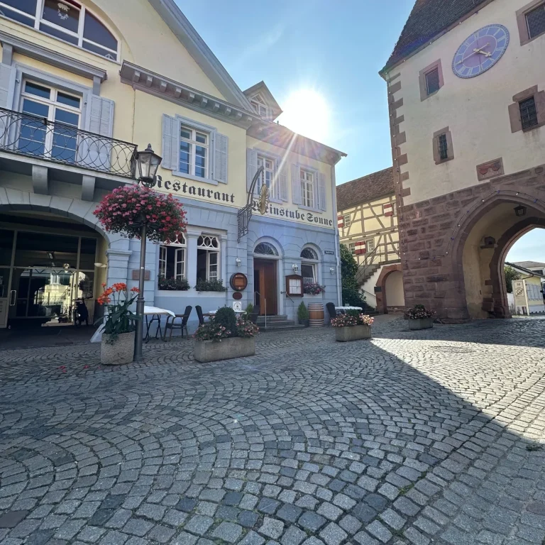 Historische Gebäude in einer malerischen, gepflasterten Straße mit Blumen.