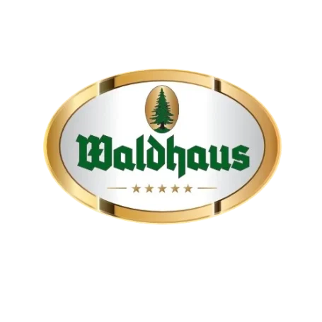 Logo von Waldhaus mit einer grünen Schrift und einem Baum-Symbol.