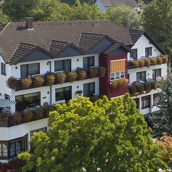 Hotel Restaurant Riegeler Hof in Riegel Blaues Hotel mit Balkon, umgeben von Bäumen und Blumen in blühenden Kästen.