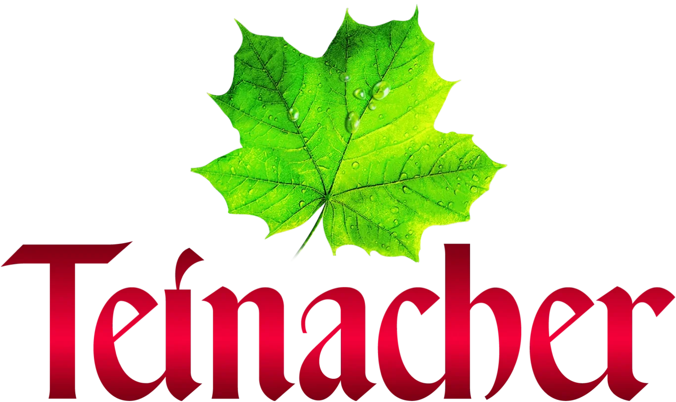 Logo von Teinacher, mit einem grünen Blatt über dem Schriftzug.